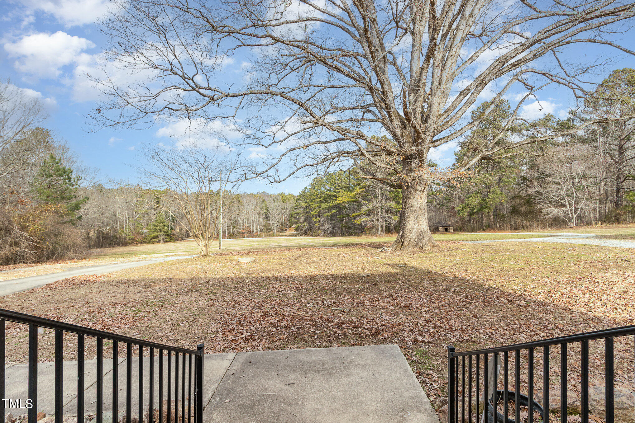 804 Bahama Road Bahama, NC 27503 - Photo 39 of 80 a view of a yard with trees