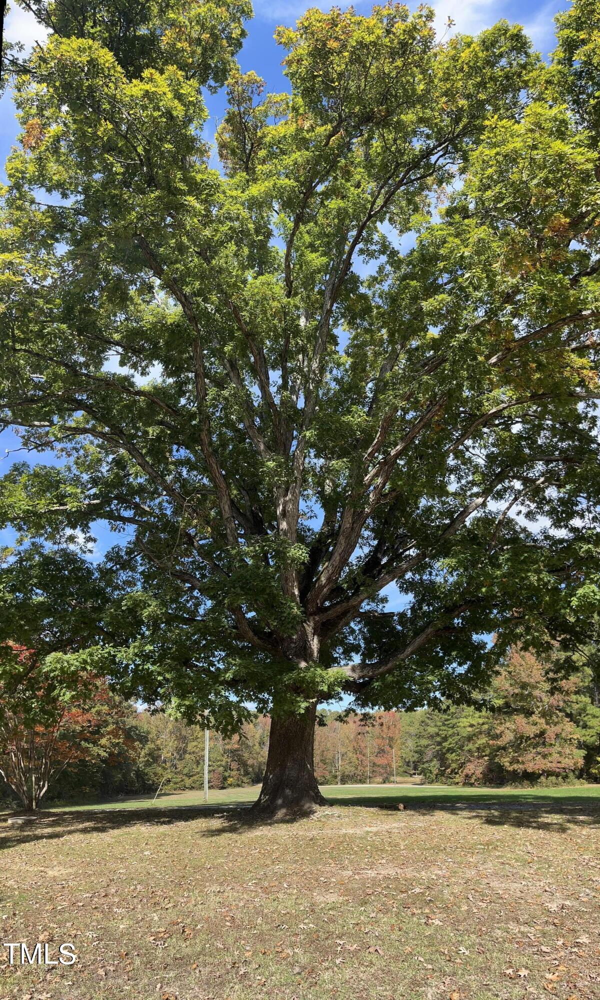 804 Bahama Road Bahama, NC 27503 - Photo 55 of 80 IMG_3332