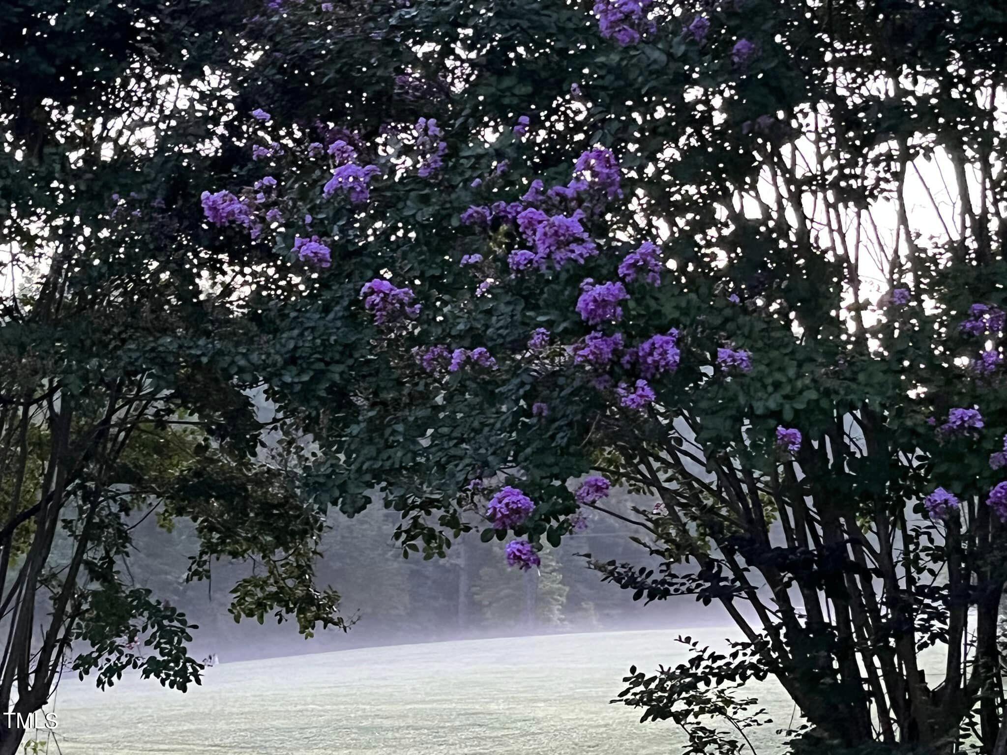 804 Bahama Road Bahama, NC 27503 - Photo 77 of 80 804 Baham purple flowers