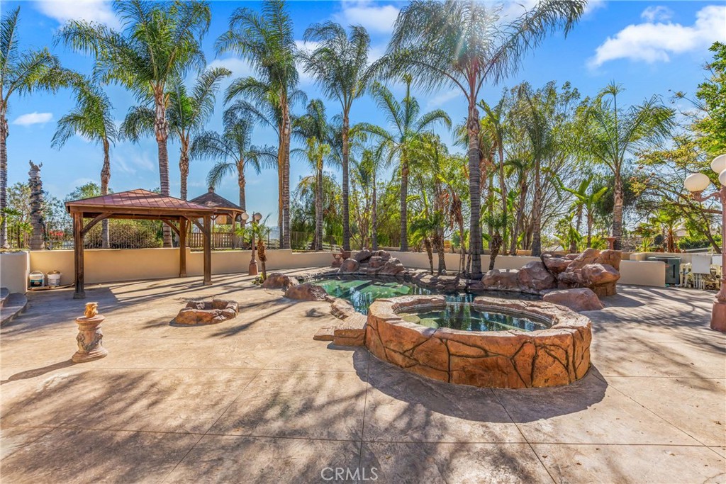 17741 Laurel Grove Road Riverside, CA 92504 - Photo 60 of 62 a view of a backyard with palm trees