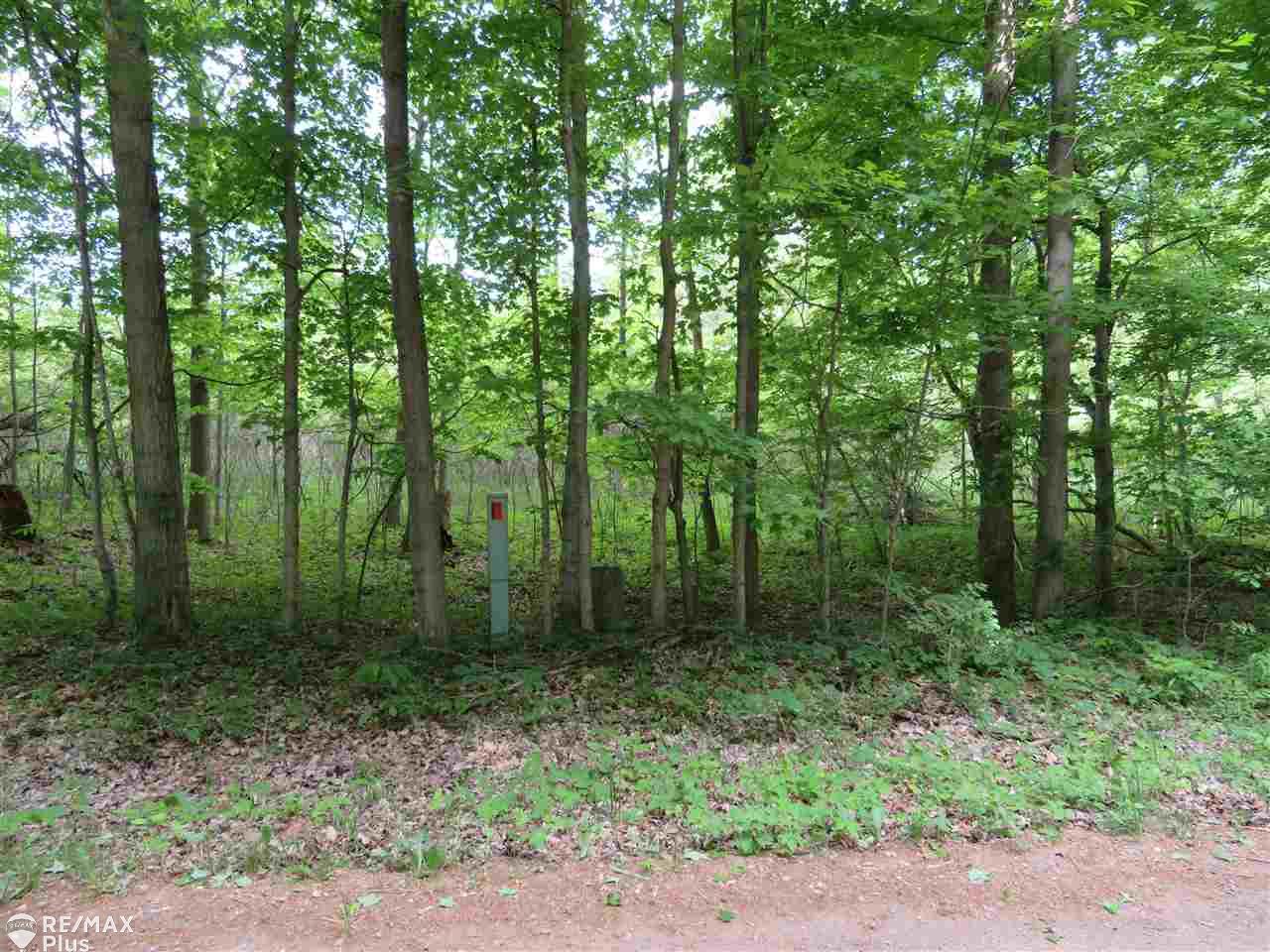 0 South Force Road Attica, MI 48412 - Photo 2 of 4