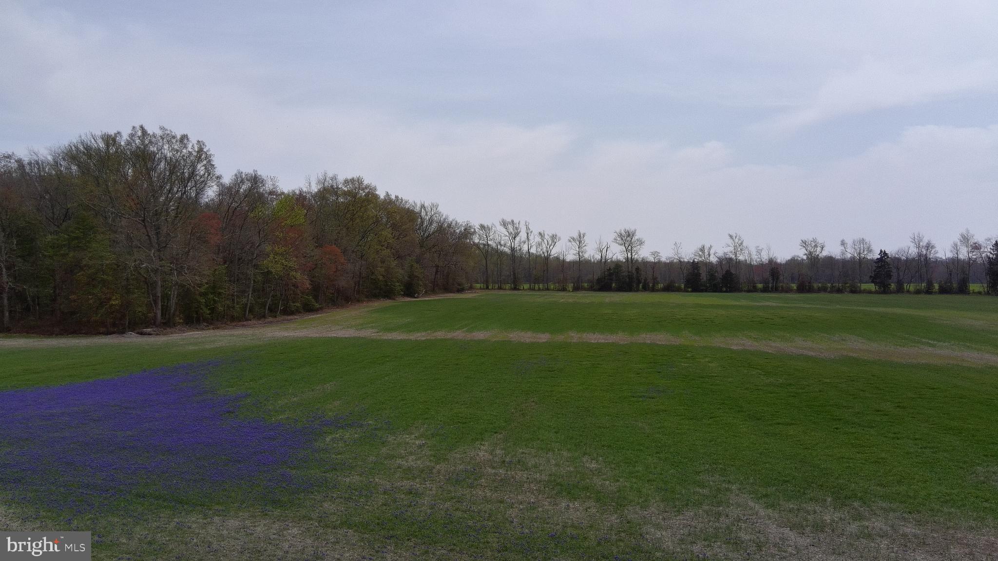 430 Isaac Budd Road Southampton, NJ 08088 - Photo 15 of 23 a view of field with tall trees in the background
