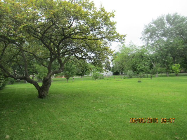 10101 Meadow Lane Des Plaines, IL 60016 - Photo 15 of 16