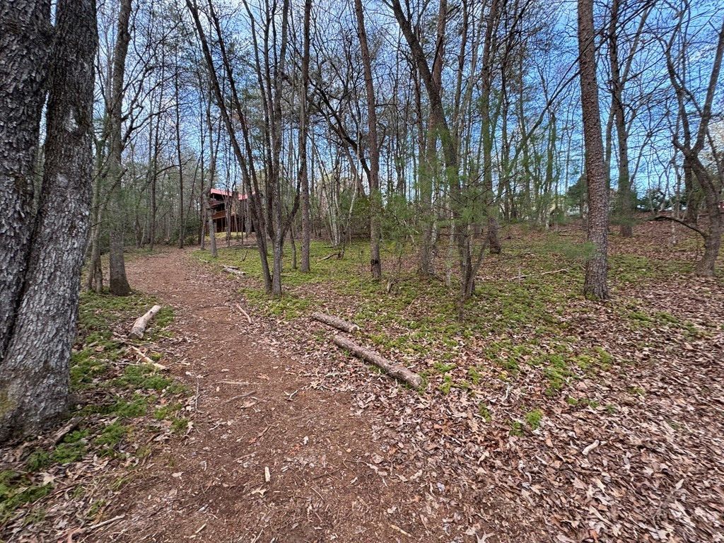 Lot 23 Blackgum Subdivision Blue Ridge Blue Ridge, GA 30513 - Photo 9 of 26
