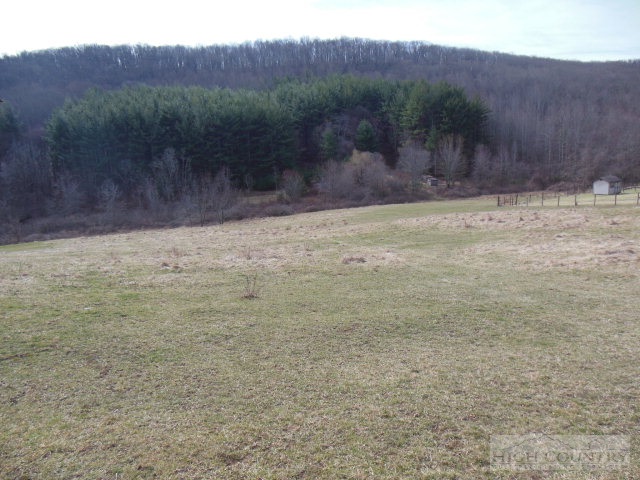 522 Quincy Road Sparta, NC 28675 - Photo 12 of 20 a view of a yard