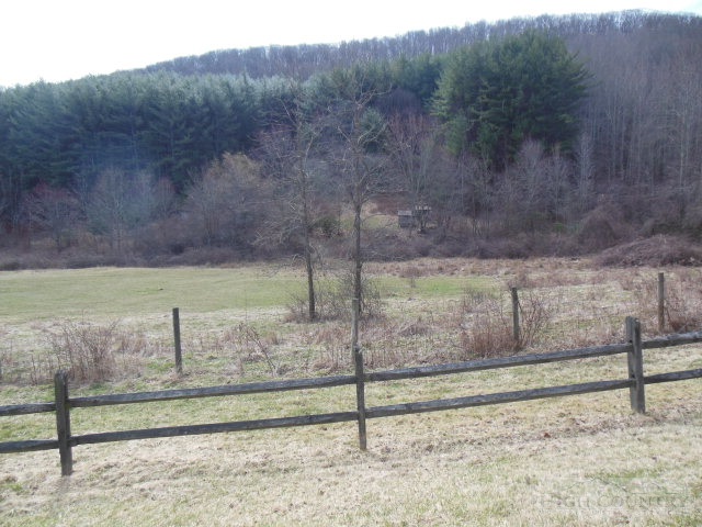 522 Quincy Road Sparta, NC 28675 - Photo 7 of 20 a view of a yard