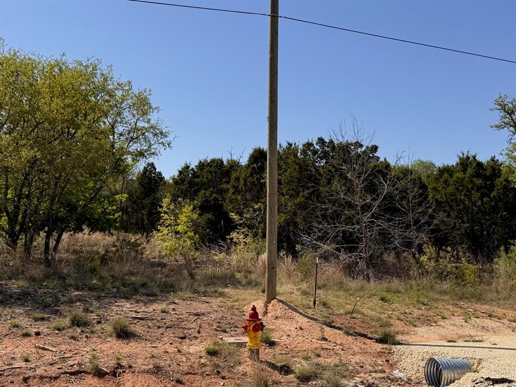1036 Creek Crossing Road Nemo, TX 76070 - Photo 3 of 9