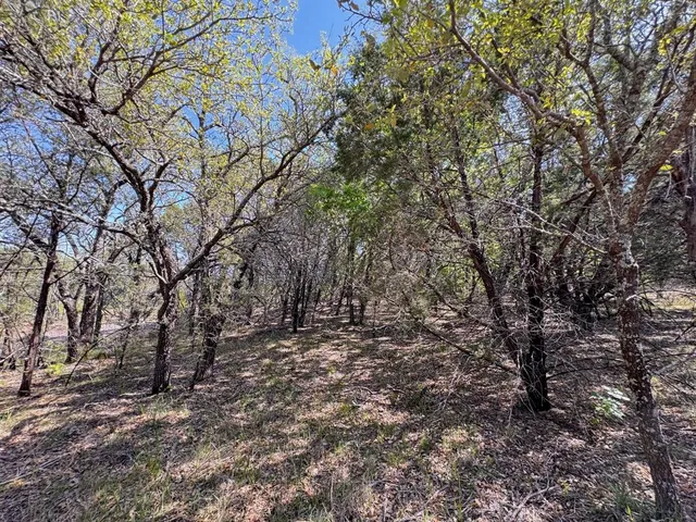 a backyard of a house with lots of trees