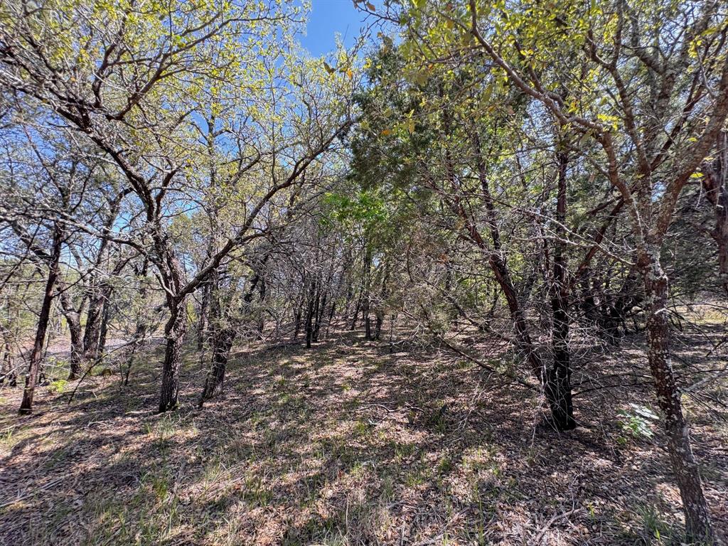 1036 Creek Crossing Road Nemo, TX 76070 - Photo 8 of 9
