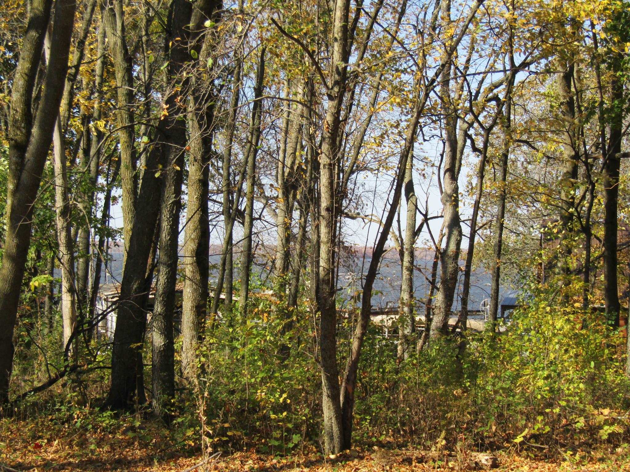 144 Hog Island Road Swanton, VT 05488 - Photo 1 of 13 Gallery Image 1
