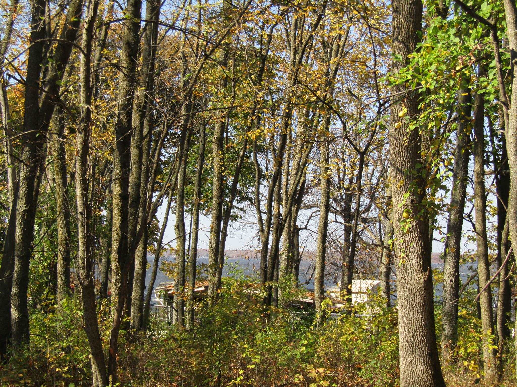 144 Hog Island Road Swanton, VT 05488 - Photo 4 of 13 Gallery Image 4