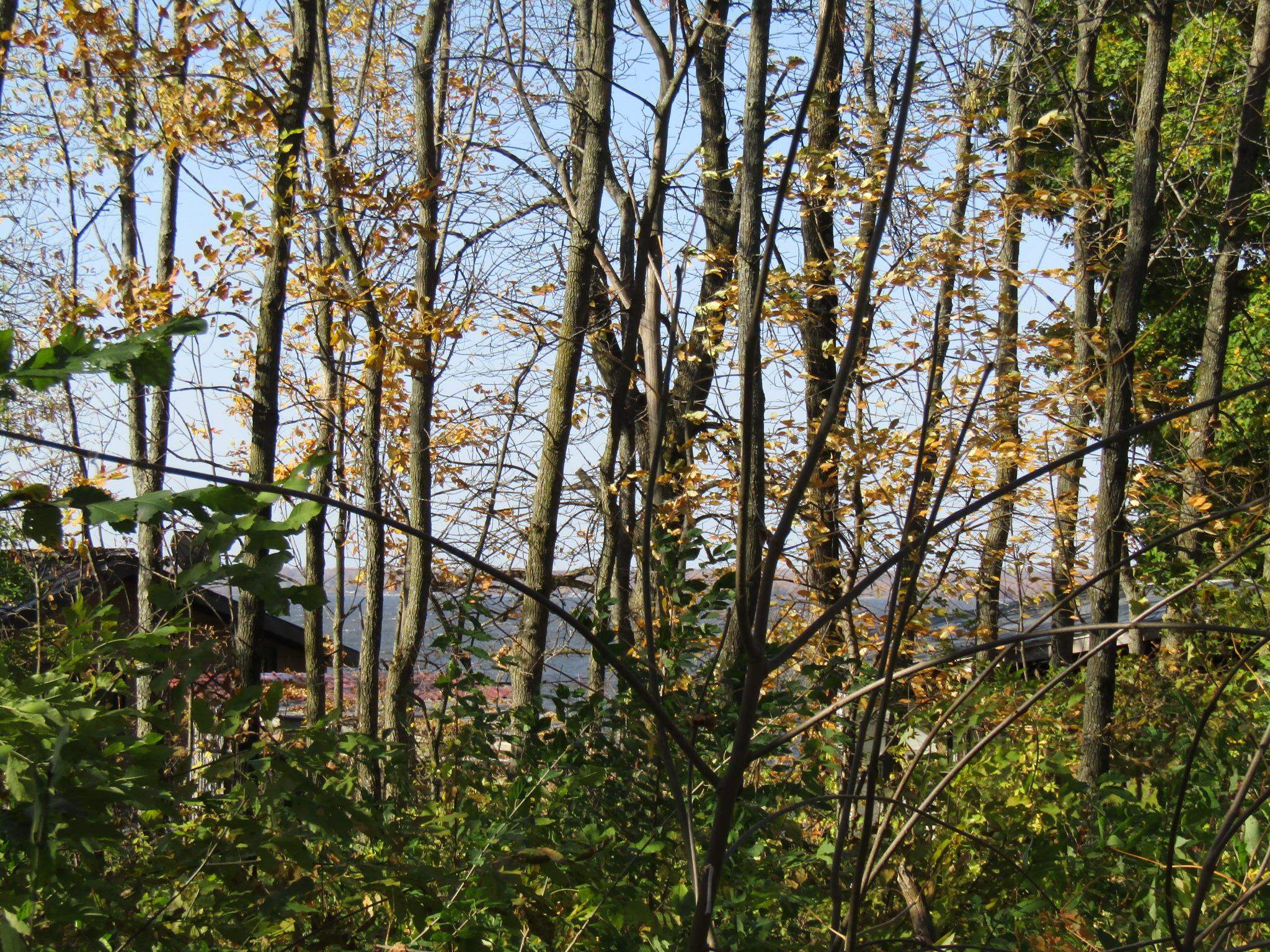 144 Hog Island Road Swanton, VT 05488 - Photo 5 of 13 Gallery Image 5