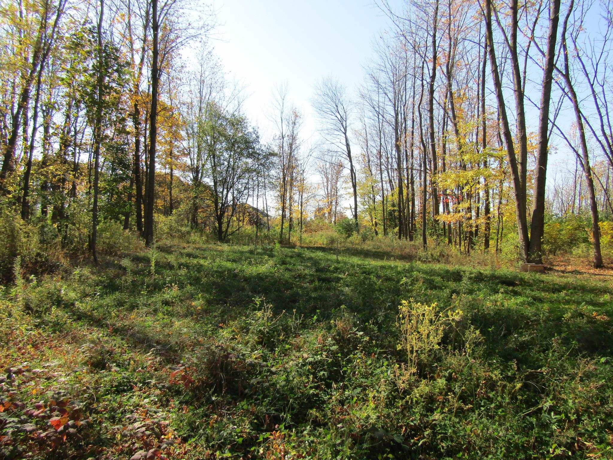 144 Hog Island Road Swanton, VT 05488 - Photo 9 of 13 Gallery Image 9
