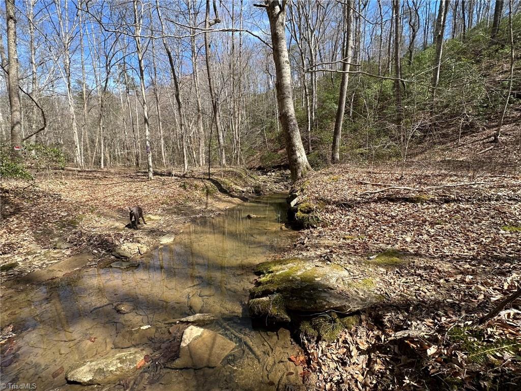 Off Mission Road Danbury, NC 27016 - Photo 11 of 11