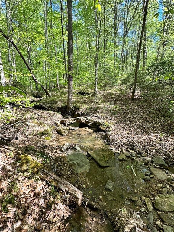 Off Mission Road Danbury, NC 27016 - Photo 2 of 11