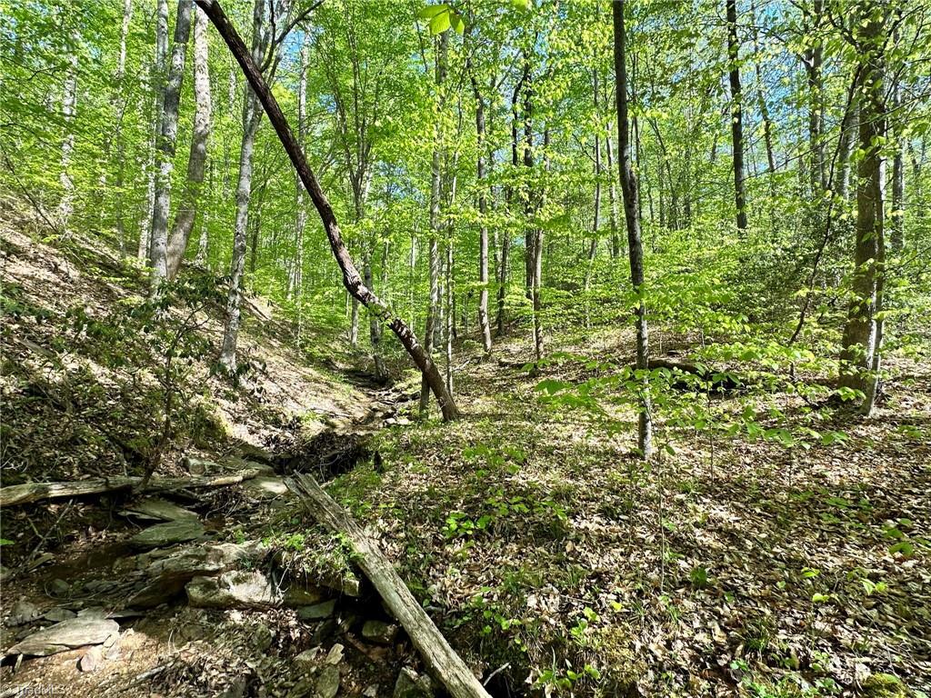 Off Mission Road Danbury, NC 27016 - Photo 3 of 11