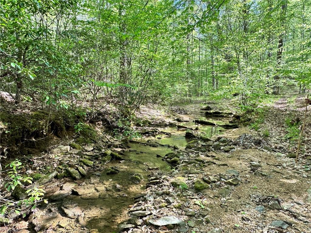 Off Mission Road Danbury, NC 27016 - Photo 4 of 11
