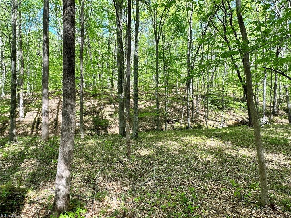 Off Mission Road Danbury, NC 27016 - Photo 5 of 11