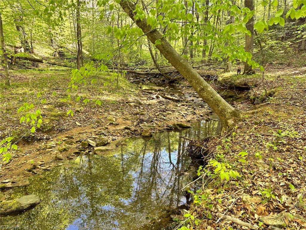 Off Mission Road Danbury, NC 27016 - Photo 6 of 11