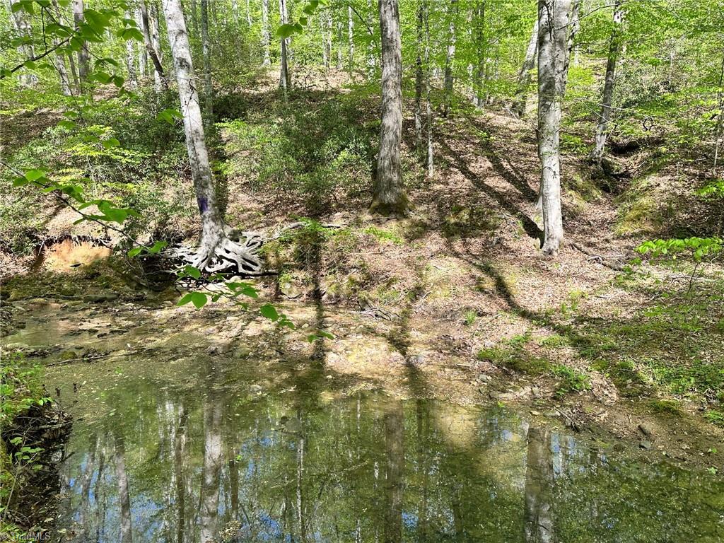 Off Mission Road Danbury, NC 27016 - Photo 7 of 11