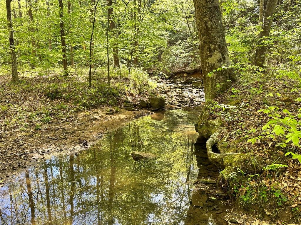 Off Mission Road Danbury, NC 27016 - Photo 8 of 11