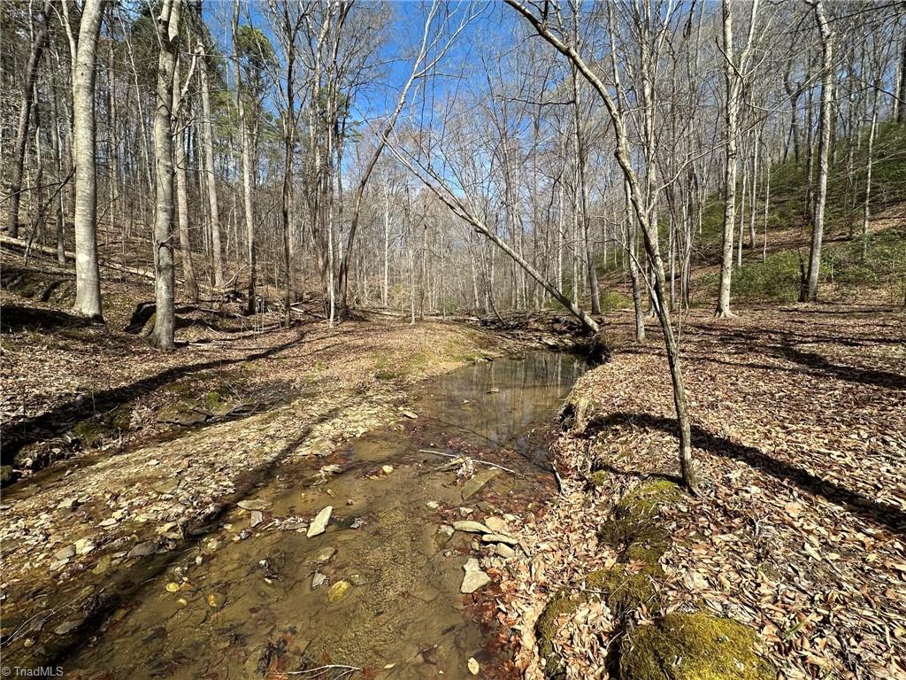 Off Mission Road Danbury, NC 27016 - Photo 9 of 11