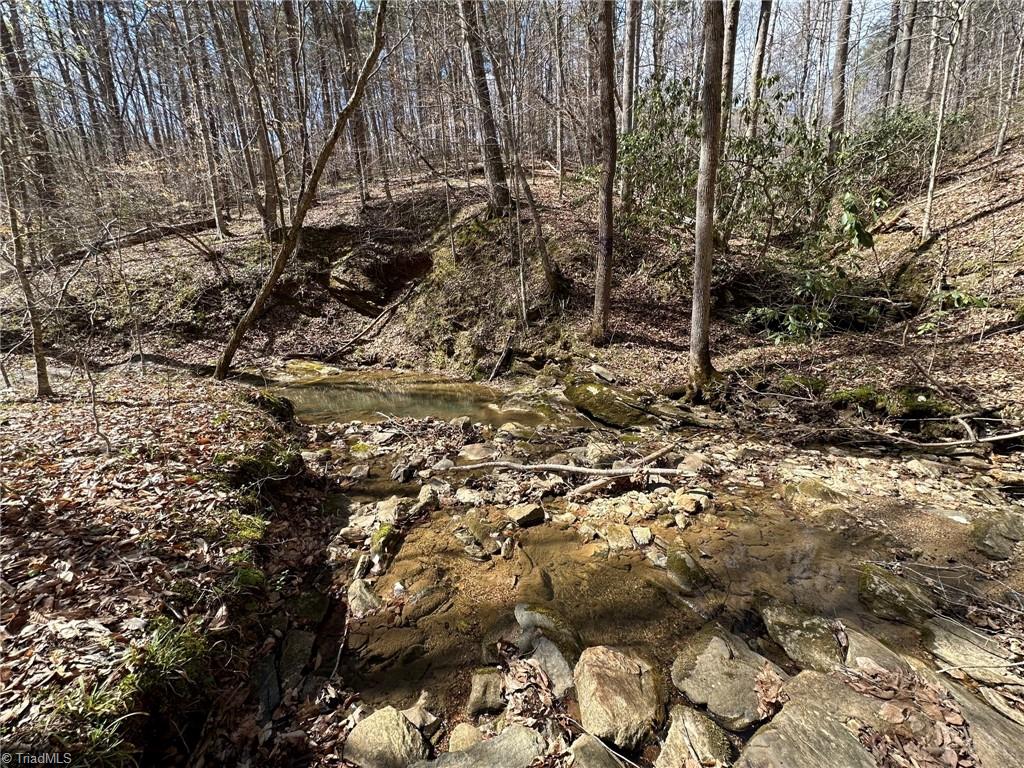 Off Mission Road Danbury, NC 27016 - Photo 10 of 11