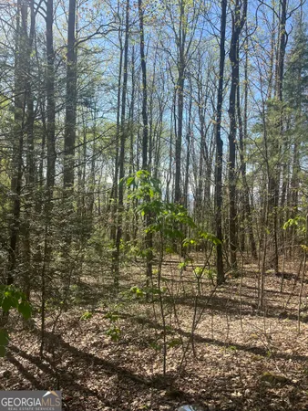 $861,000 | 0 Happy Hill, Scaly Mountain, NC 28775