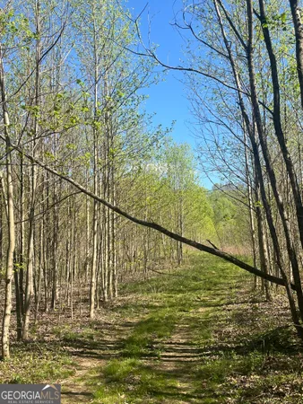 $861,000 | 0 Happy Hill, Scaly Mountain, NC 28775