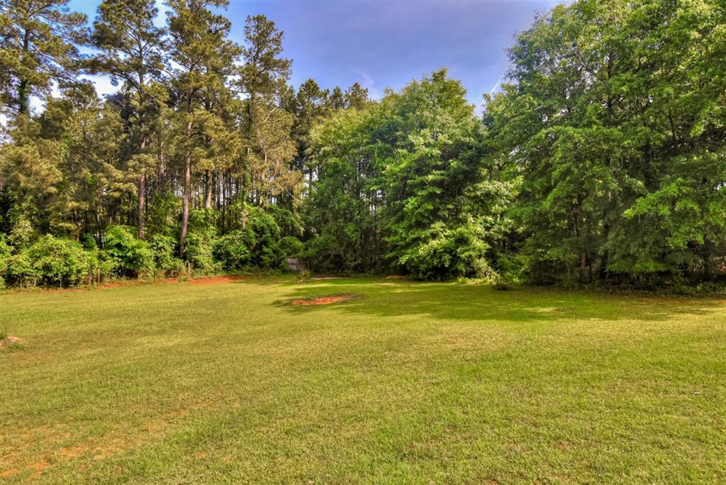 2987 Old Lodge Road Hephzibah, GA 30815 - Photo 47 of 56 Gallery Image 47