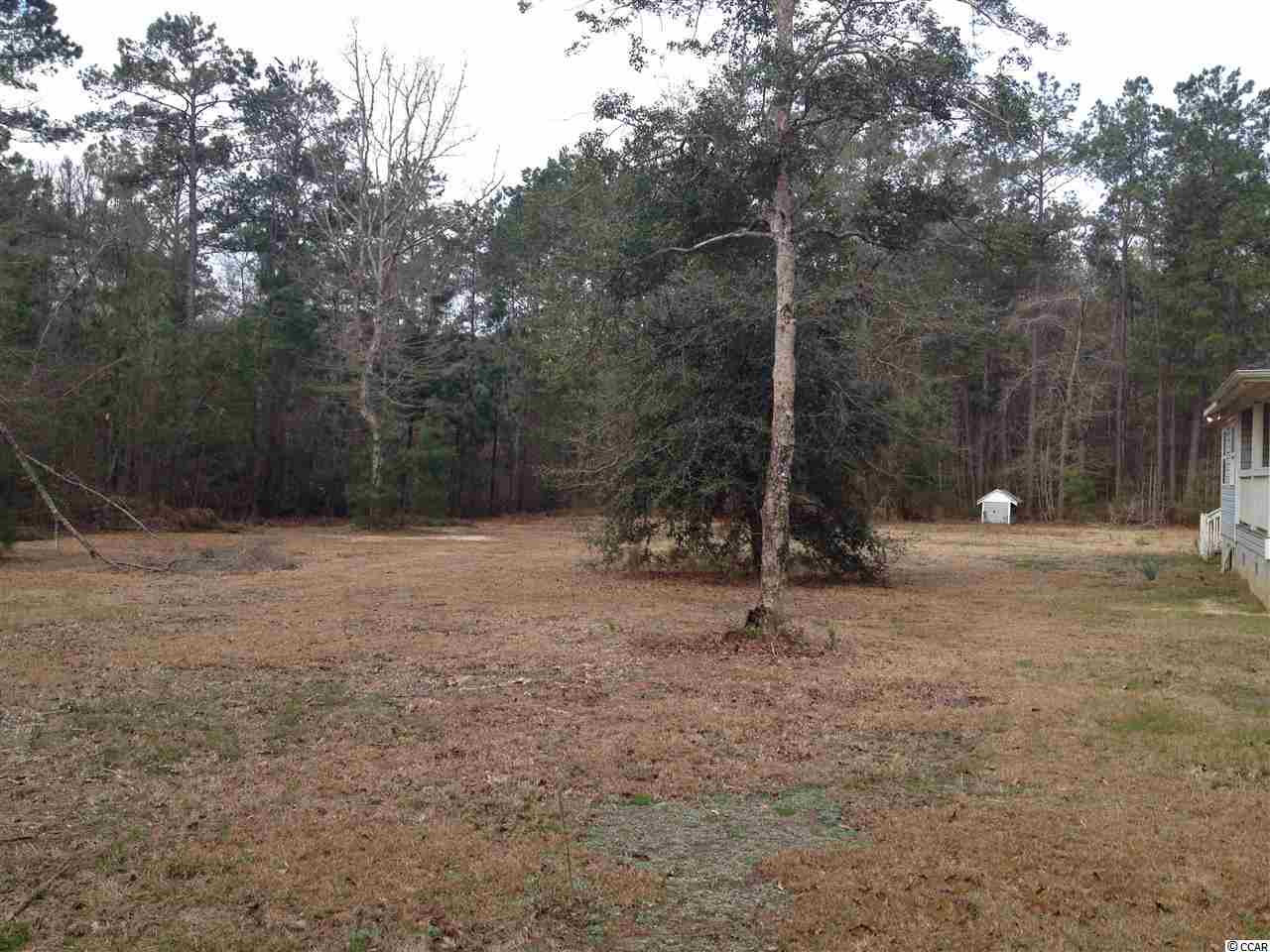 2848 Saints Delight Road Georgetown, SC 29440 - Photo 10 of 10 Gallery Image 10