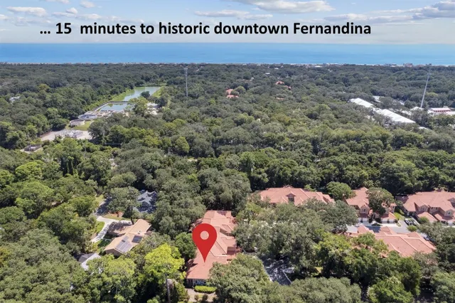 a view of a back yard with plants
