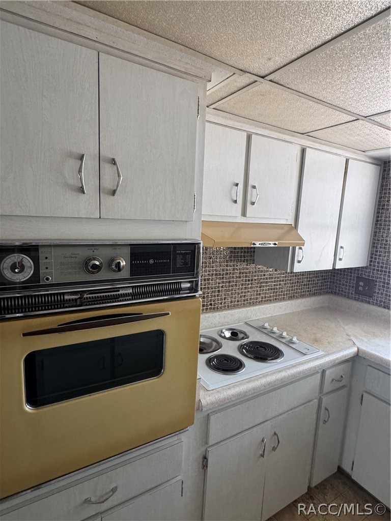 3953 South Fernpark Terrace Inverness, FL 34452 - Photo 7 of 16 a kitchen with a stove and white cabinets