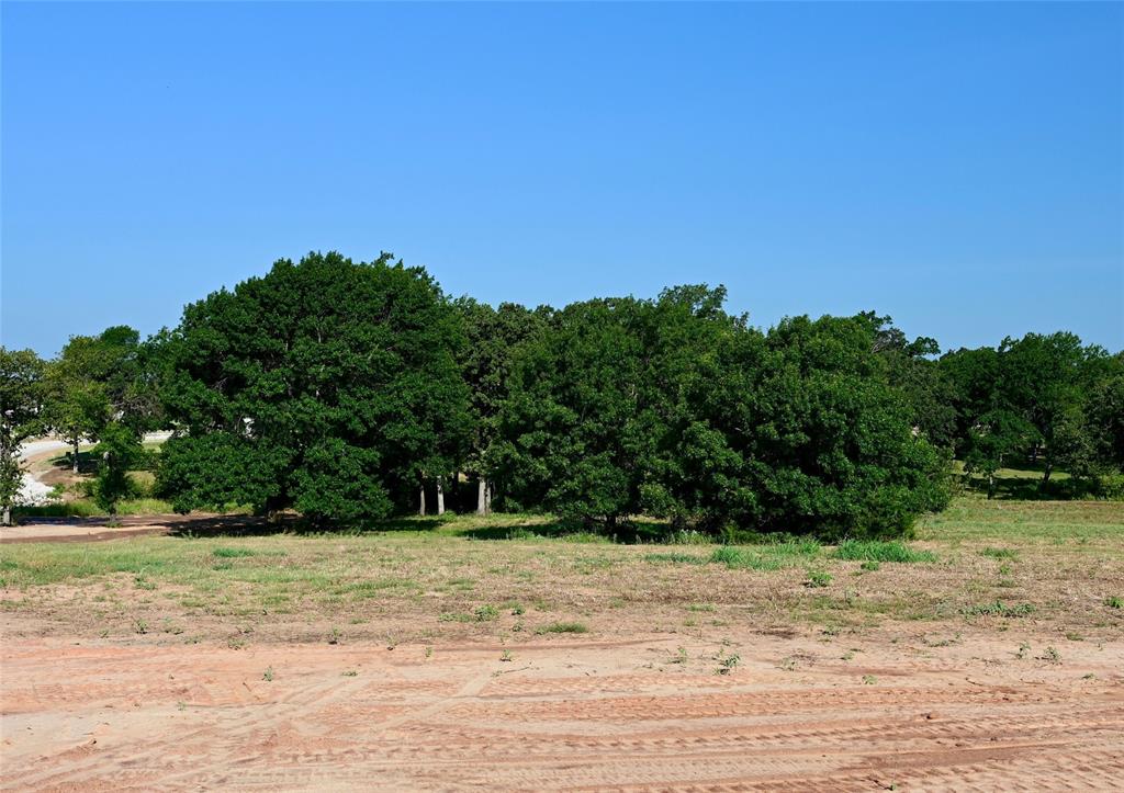 Lot 73 Camden Lane Springtown, TX 76082 - Photo 2 of 14 a view of a yard