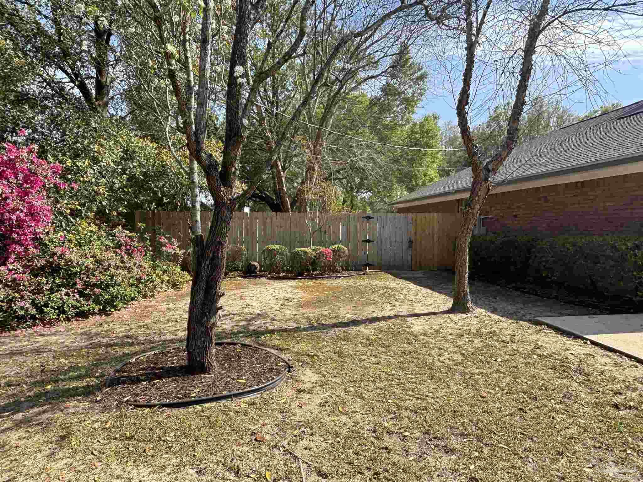 5309 Gillette Way Milton, FL 32570 - Photo 36 of 51 a tall tree in middle of the house