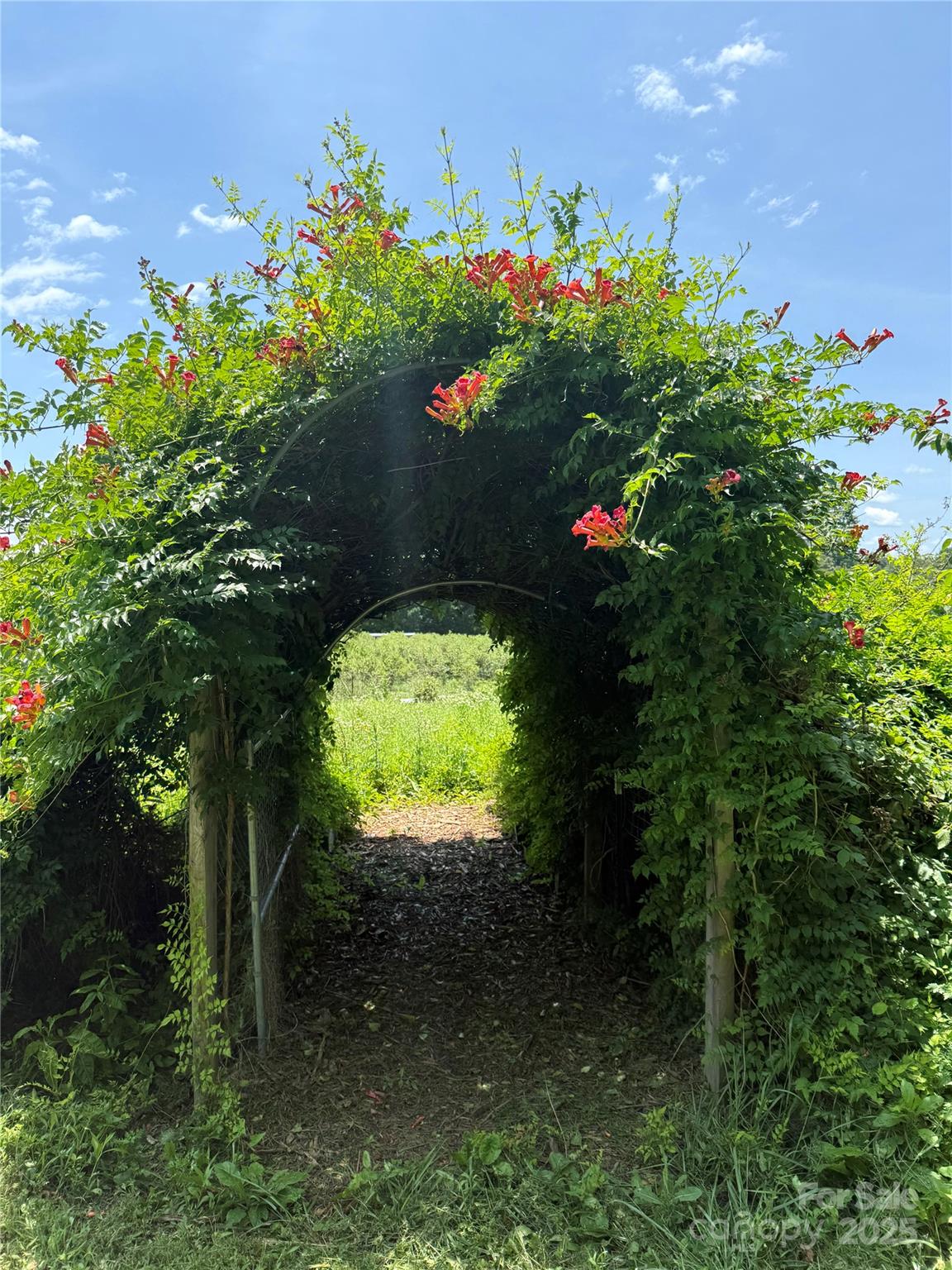 5188 Dysartsville Road Morganton, NC 28655 - Photo 39 of 48