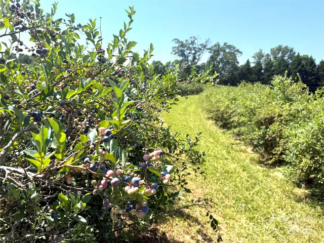 $594,999 | 5188 Dysartsville Road, Morganton, NC 28655