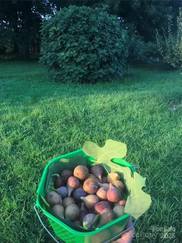 $594,999 | 5188 Dysartsville Road, Morganton, NC 28655