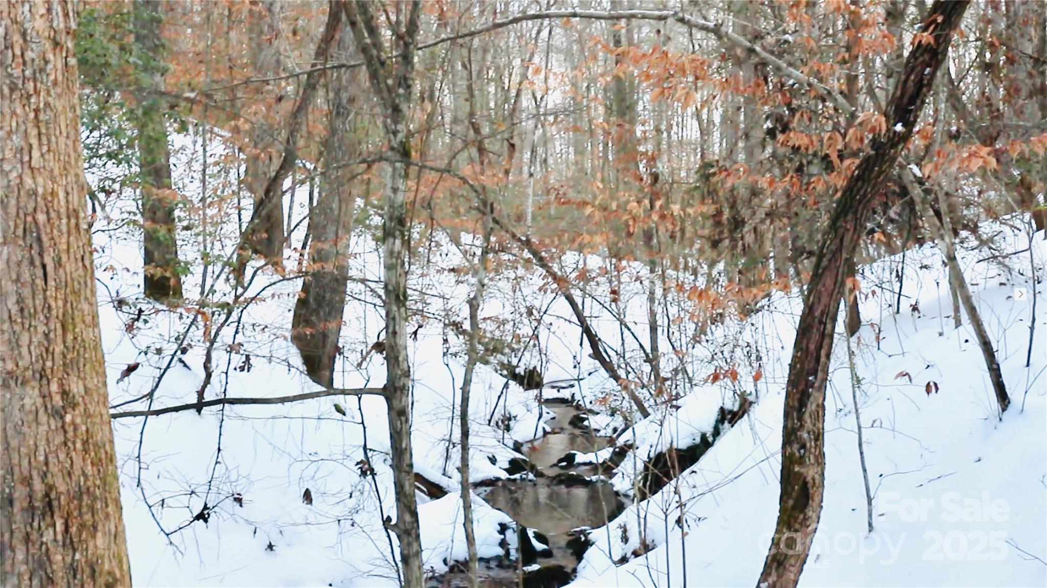 5188 Dysartsville Road Morganton, NC 28655 - Photo 45 of 48