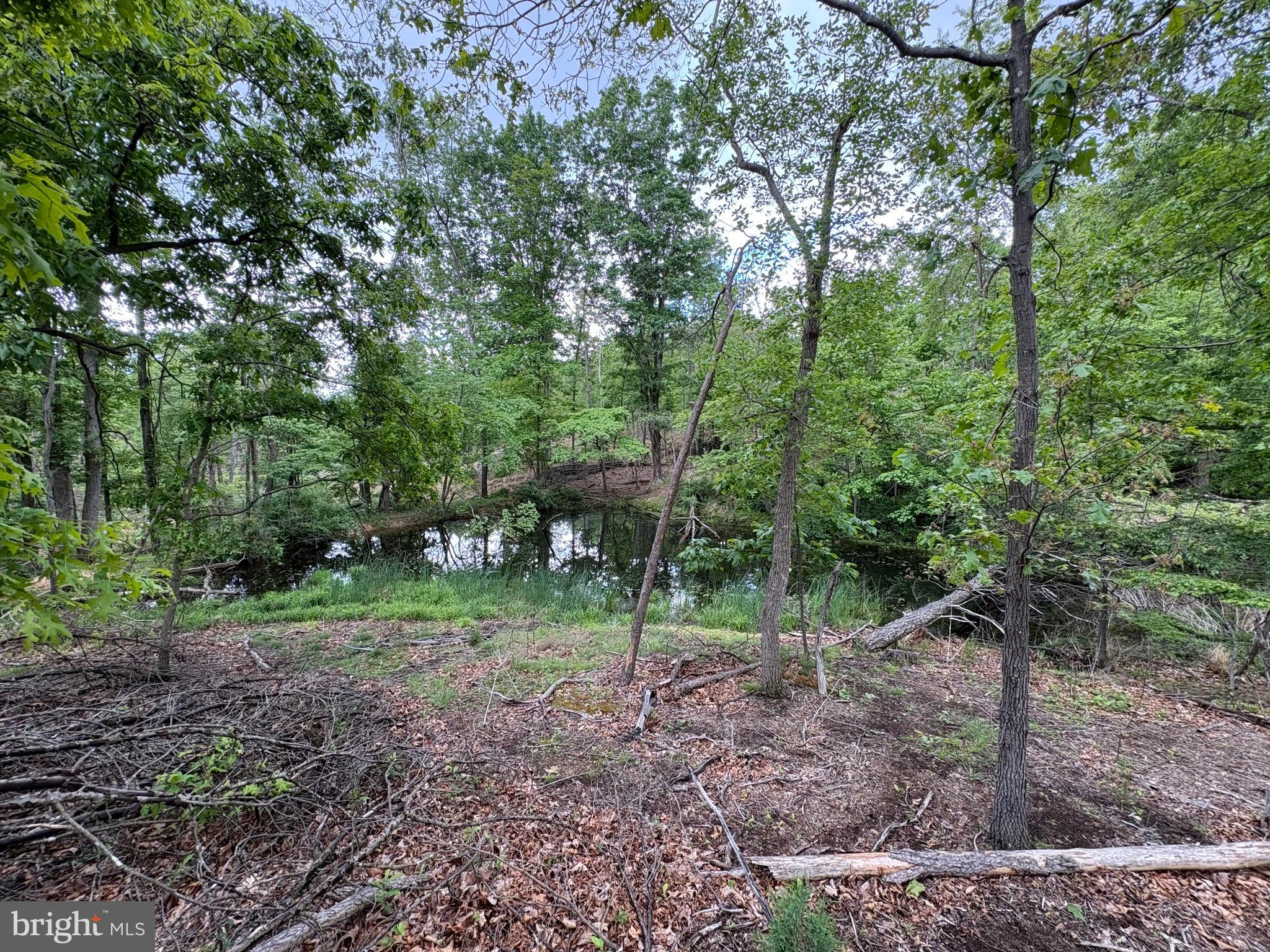 40.15-ac Middle Ridge Road Burlington, WV 26710 - Photo 3 of 47
