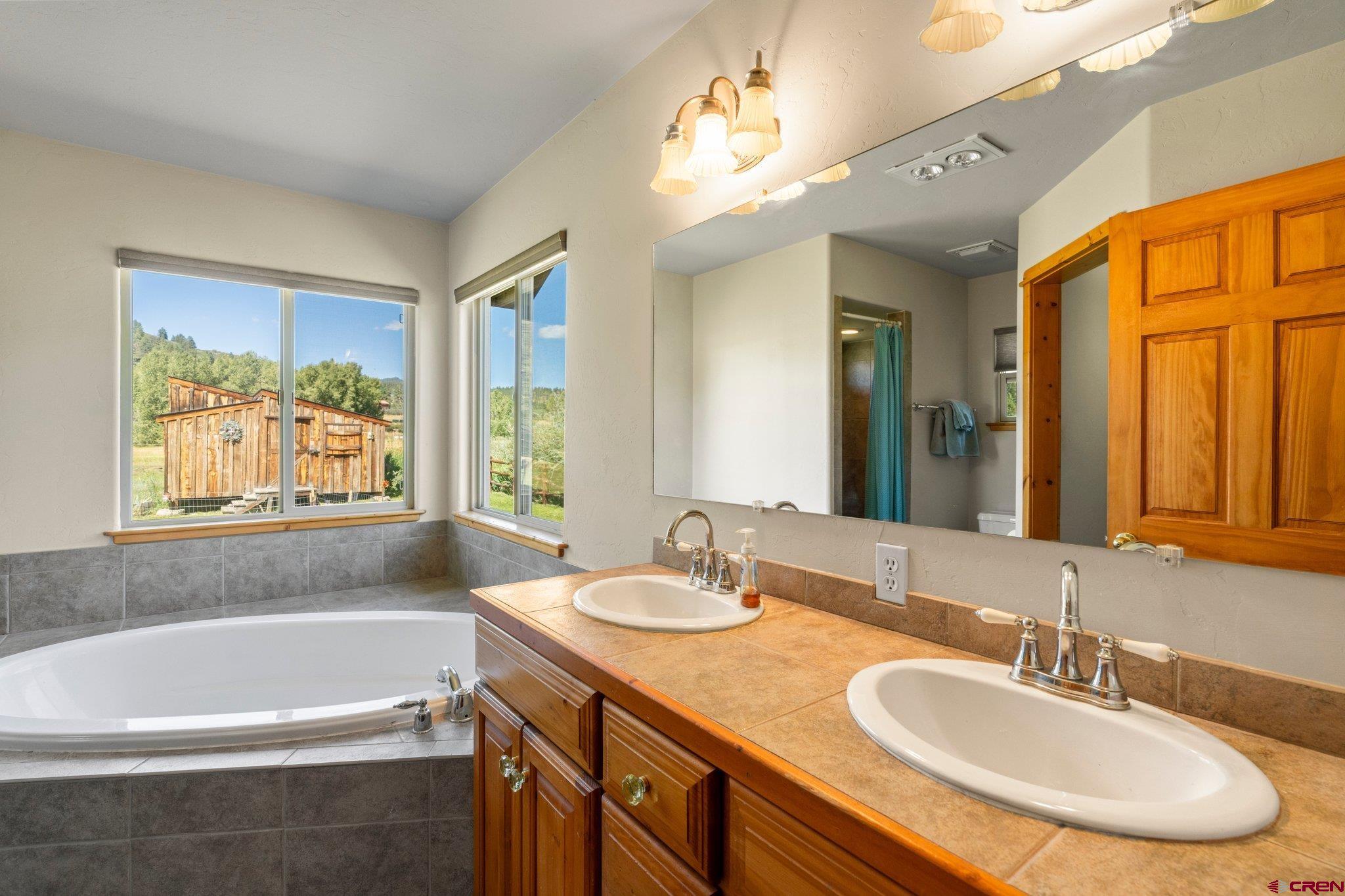 115 Pine River Ranch Circle Bayfield, CO 81122 - Photo 14 of 30 a bathroom with a granite countertop sink and a bathtub