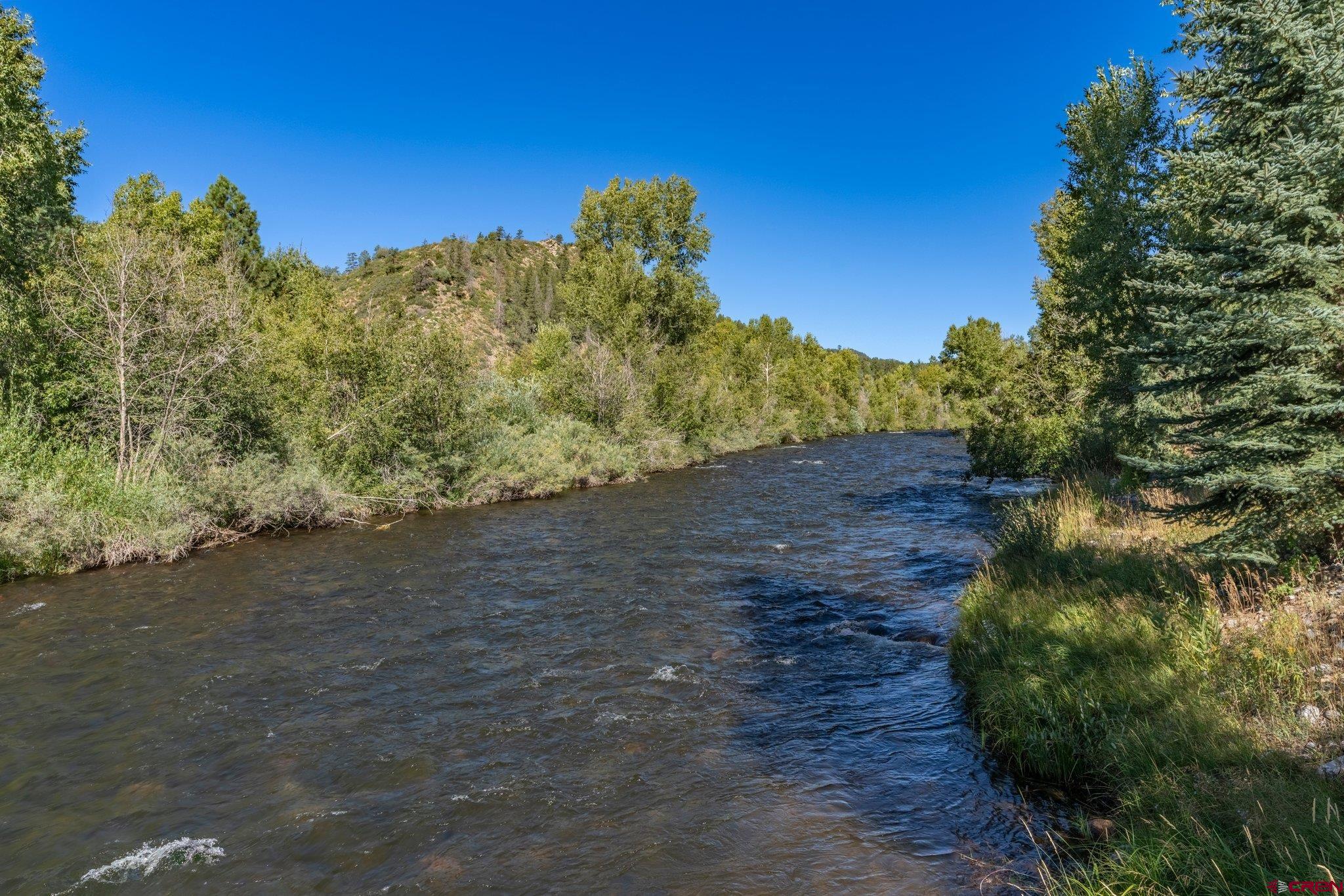 115 Pine River Ranch Circle Bayfield, CO 81122 - Photo 2 of 30 a view of a road with a yard