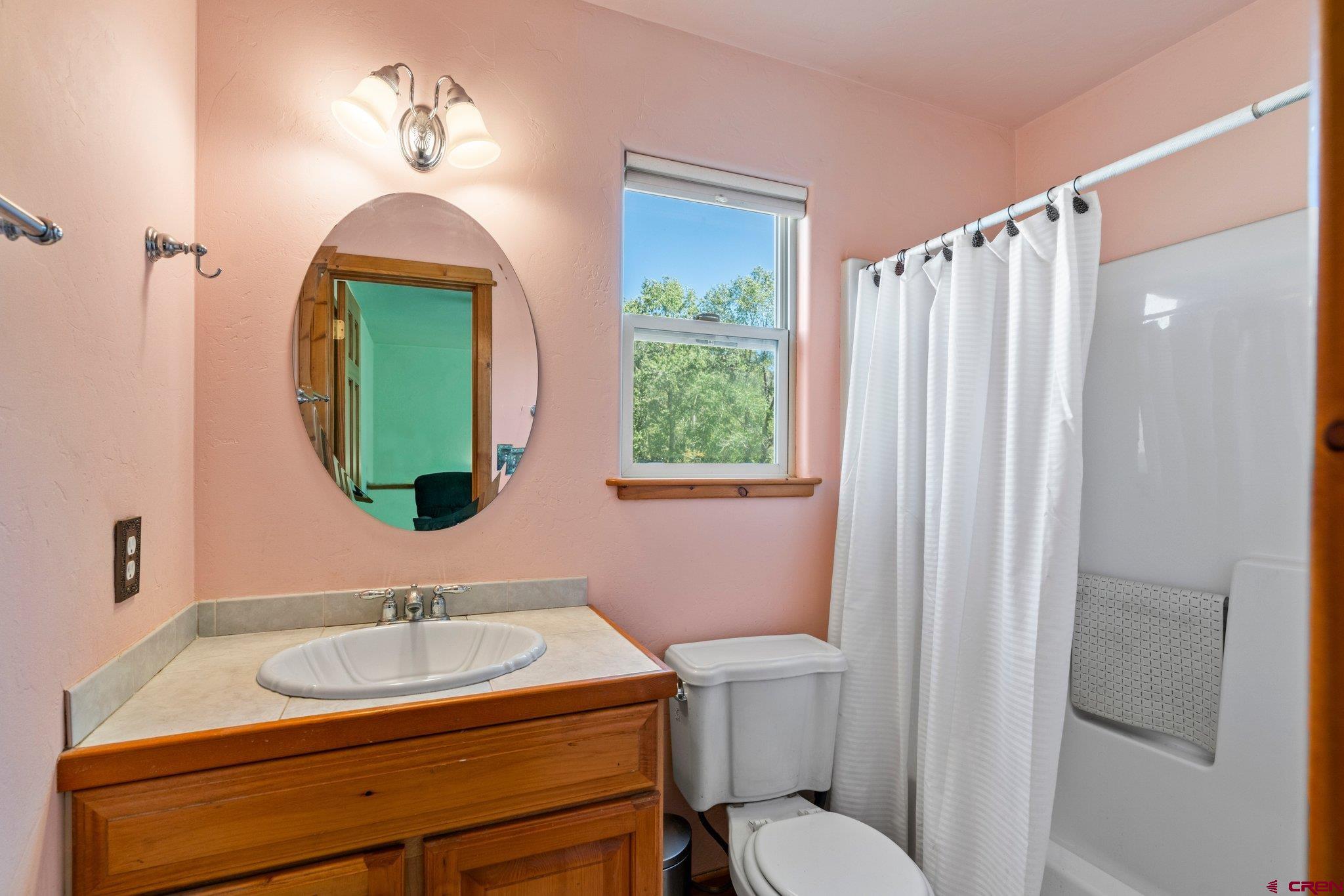 115 Pine River Ranch Circle Bayfield, CO 81122 - Photo 22 of 30 a bathroom with a sink a toilet and mirror
