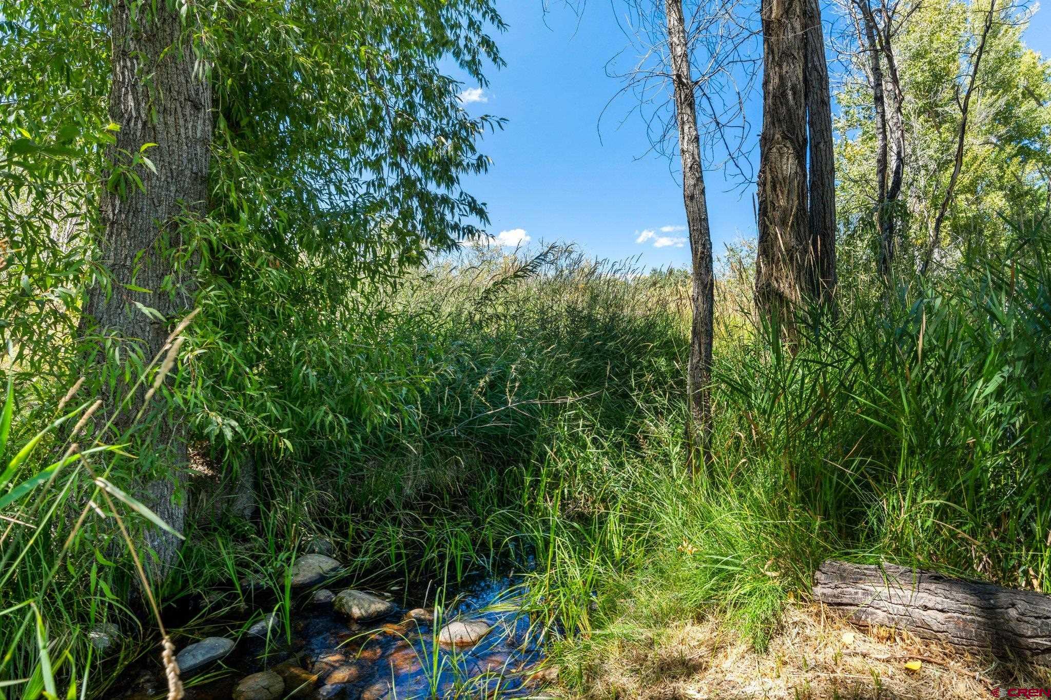 115 Pine River Ranch Circle Bayfield, CO 81122 - Photo 29 of 30 a view of a tree