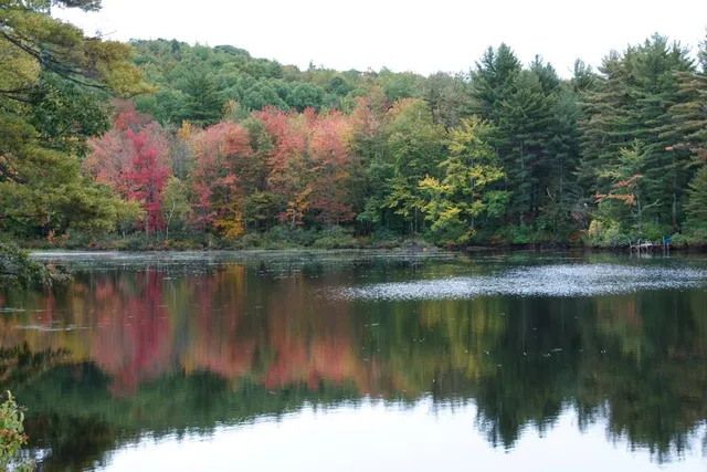 $699,000 | 13-16 Joyal Hill Lane, Casco, ME 04015