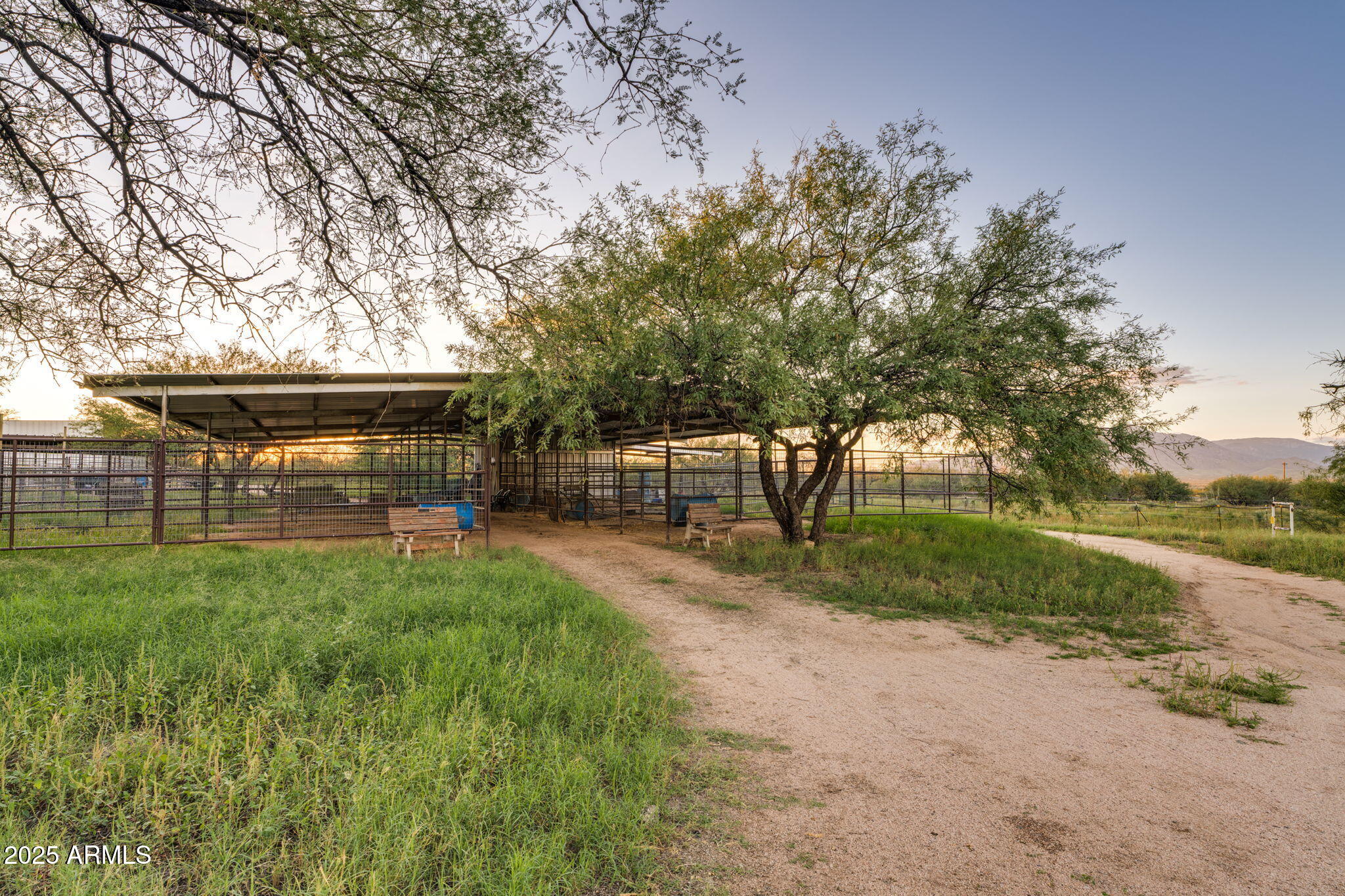 3036 West Williams Road Benson, AZ 85602 - Photo 38 of 50 Stables