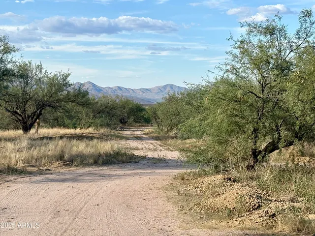 $750,000 | 3036 West Williams Road, Benson, AZ 85602