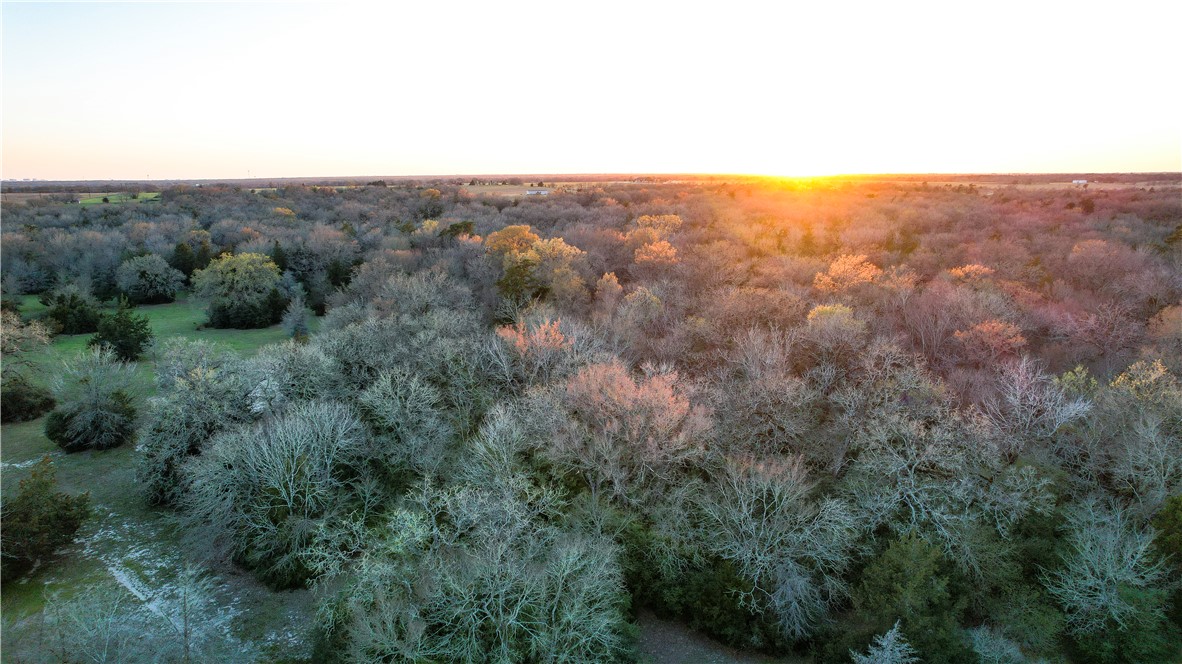 Tbd Tbd 11.27ac Opersteny Road Bryan, TX 77808 - Photo 11 of 15 an aerial view of houses covered in trees
