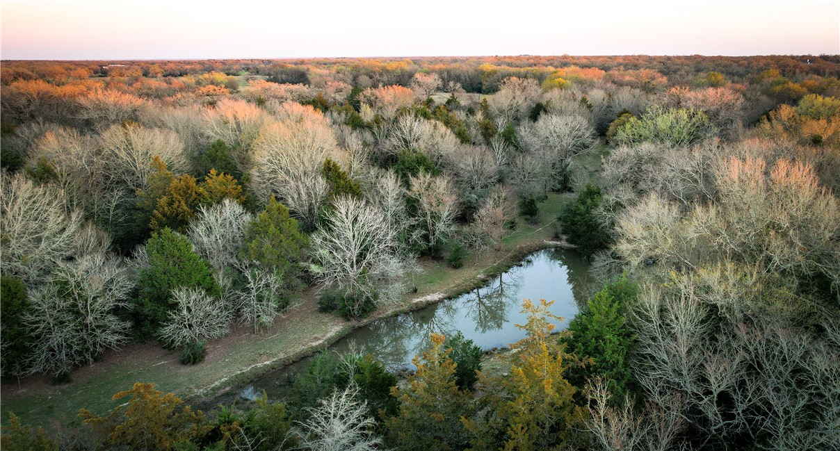 Tbd Tbd 11.27ac Opersteny Road Bryan, TX 77808 - Photo 2 of 15 a view of a forest with a forest