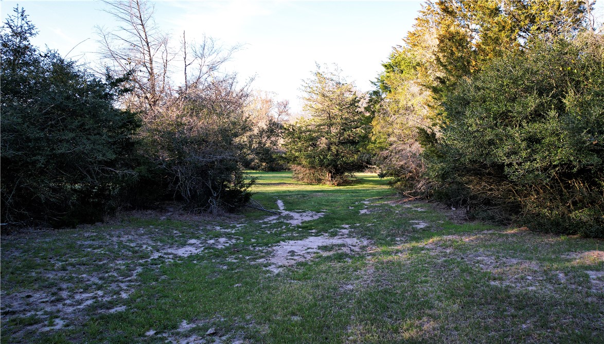 Tbd Tbd 11.27ac Opersteny Road Bryan, TX 77808 - Photo 6 of 15 a view of outdoor space with green field and trees